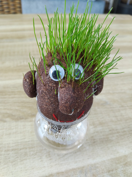 Kit enfants cheveux à faire pousser Mr Green