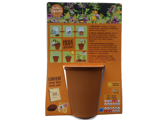 kit de plantation enfant fleurs colorées licorne