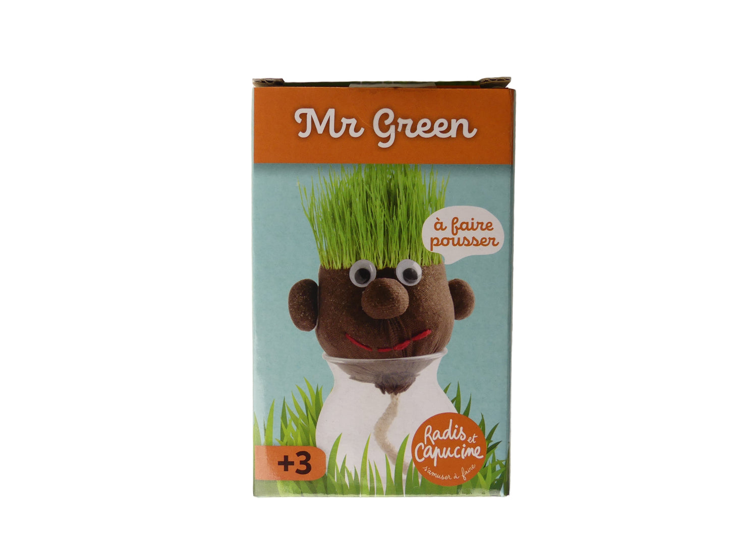 Kit enfants cheveux à faire pousser Mr Green. Tête gazon.