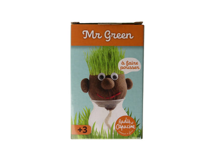Kit enfants cheveux à faire pousser Mr Green. Tête gazon.