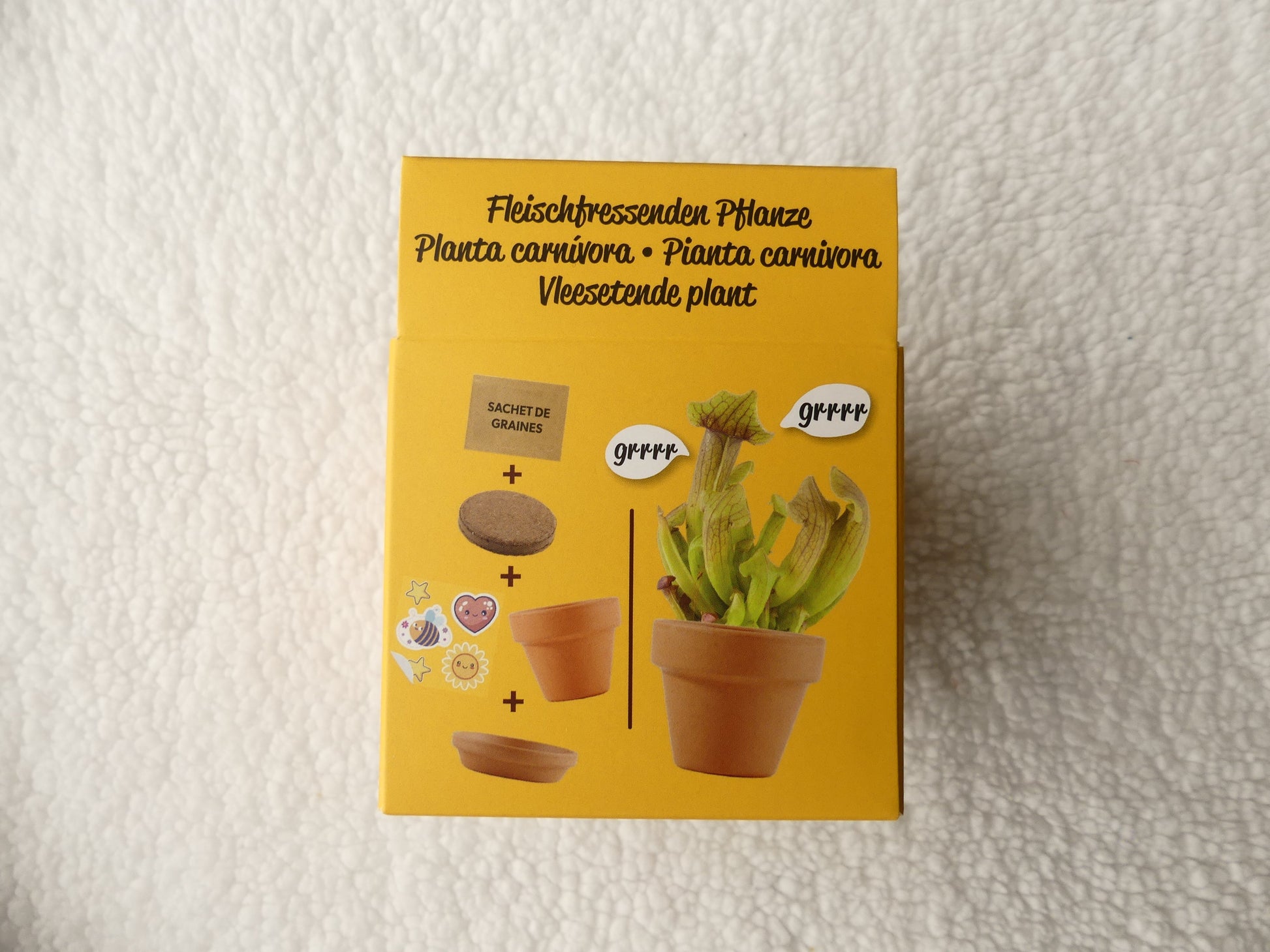 kit plante carnivore - Les p'tits cadeaux