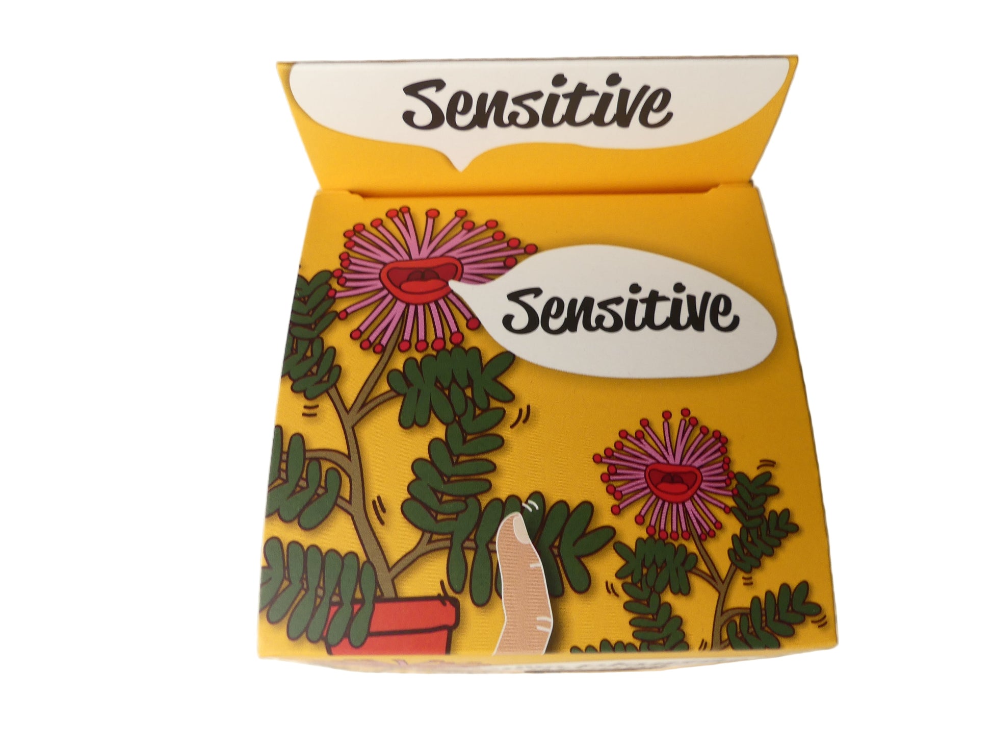 kit plante sensitive - Les p'tits cadeaux