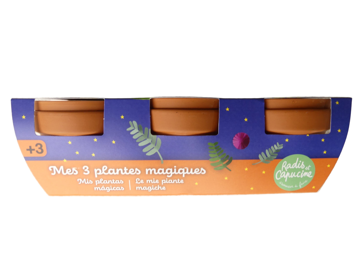 kit trio de plantes magiques - Les p'tits cadeaux